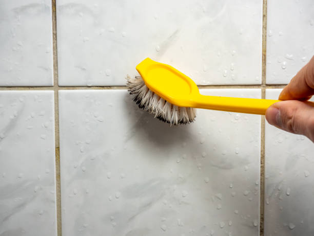 Best Affordable Mold Removal  in Home Gardens, CA