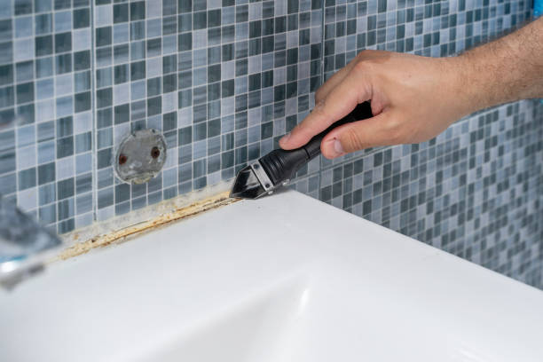 Best Mold Cleaning Services  in Home Gardens, CA