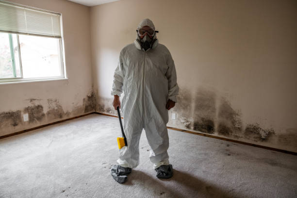 Best Office Mold Removal Services  in Home Gardens, CA